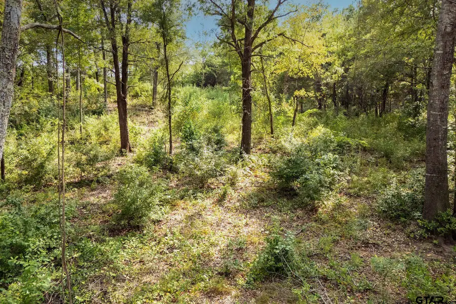 0 Garner St, Frankston, TX 75763 - #3