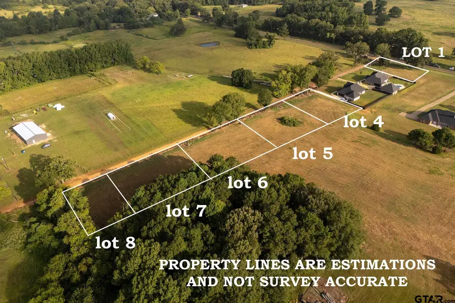 211 County Road 3421 (lot 5), Bullard, TX 75757 - #3