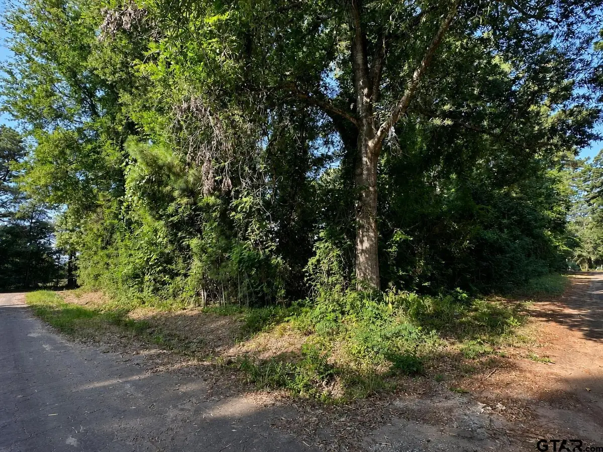 TBD County Road 2177, Quitman, TX 75783 - #1