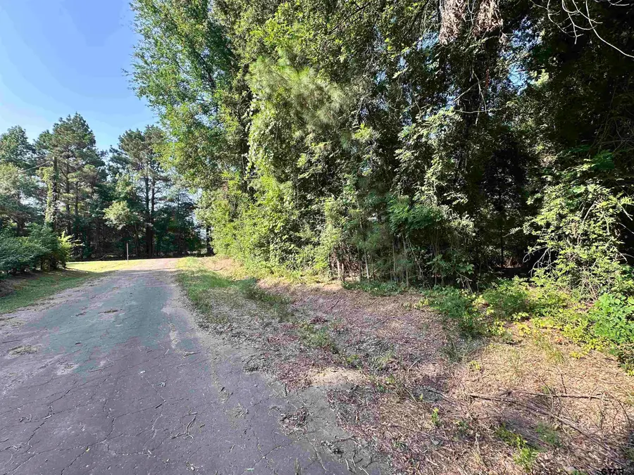 TBD County Road 2177, Quitman, TX 75783 - #3