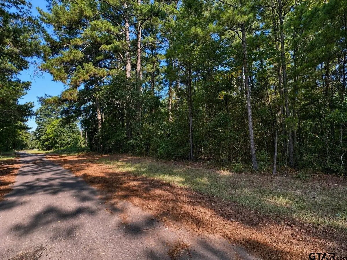 TBD County Road 2150, Quitman, TX 75783 - #1