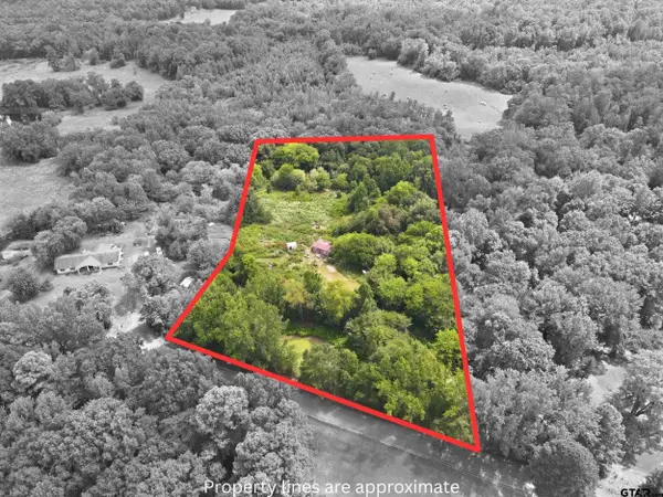 1624 County Road 4490, Winnsboro, TX 75494