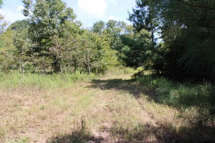 TBD Fm 747 N, Jacksonville, TX 75766 - #2