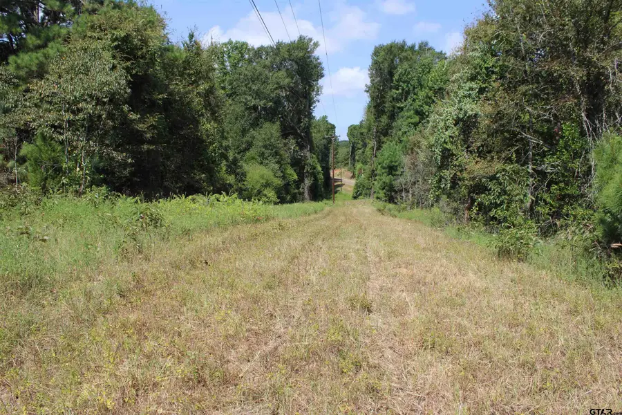 TBD Fm 747 N, Jacksonville, TX 75766 - #3