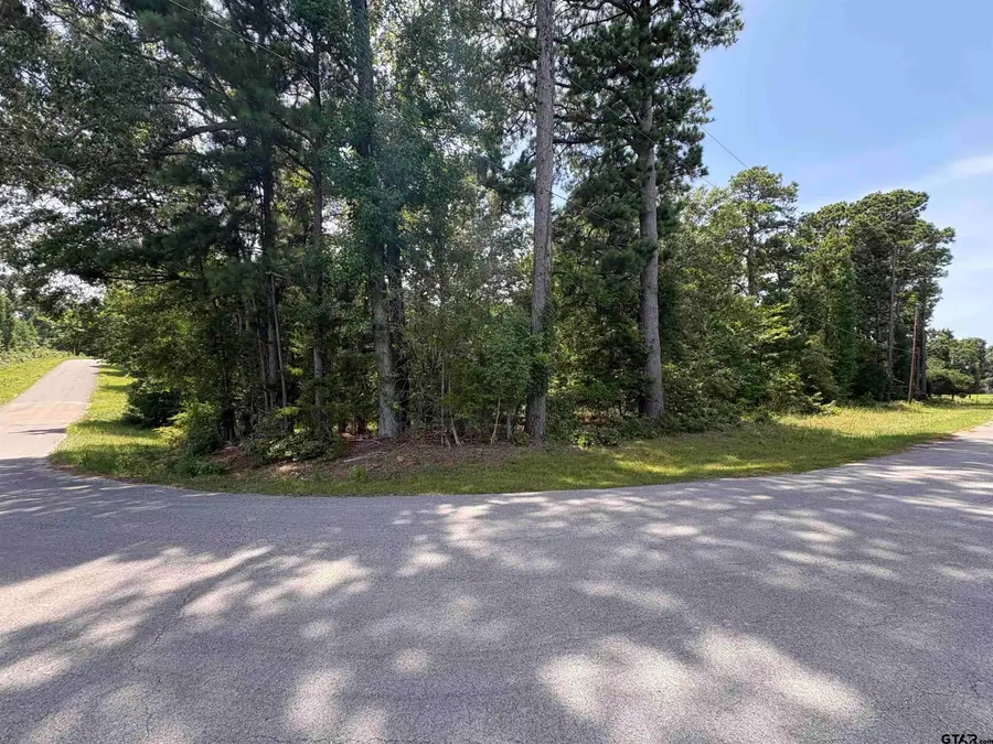 17688 Fisherman's, Troup, TX 75789 - #3