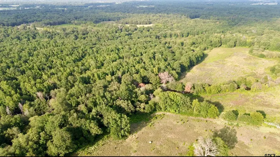 TBD Cr 3324, Pittsburg, TX 75686 - #2