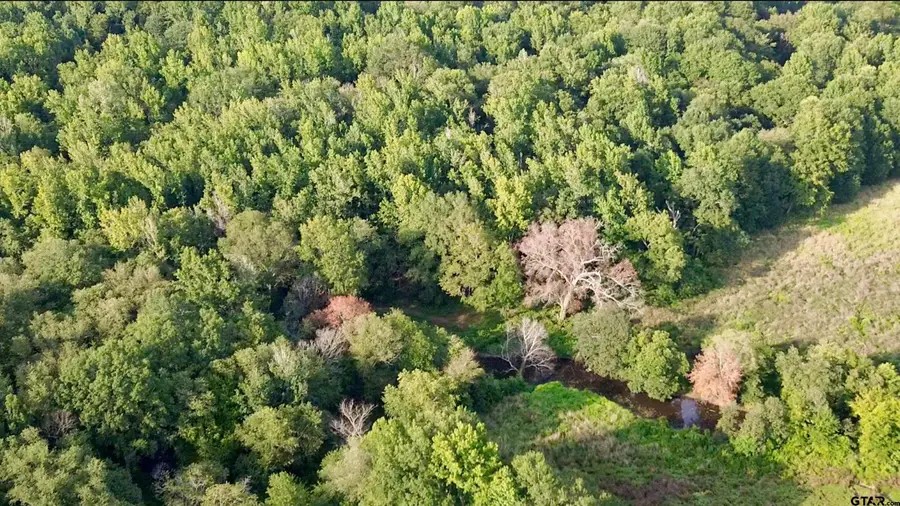 TBD Cr 3324, Pittsburg, TX 75686 - #3
