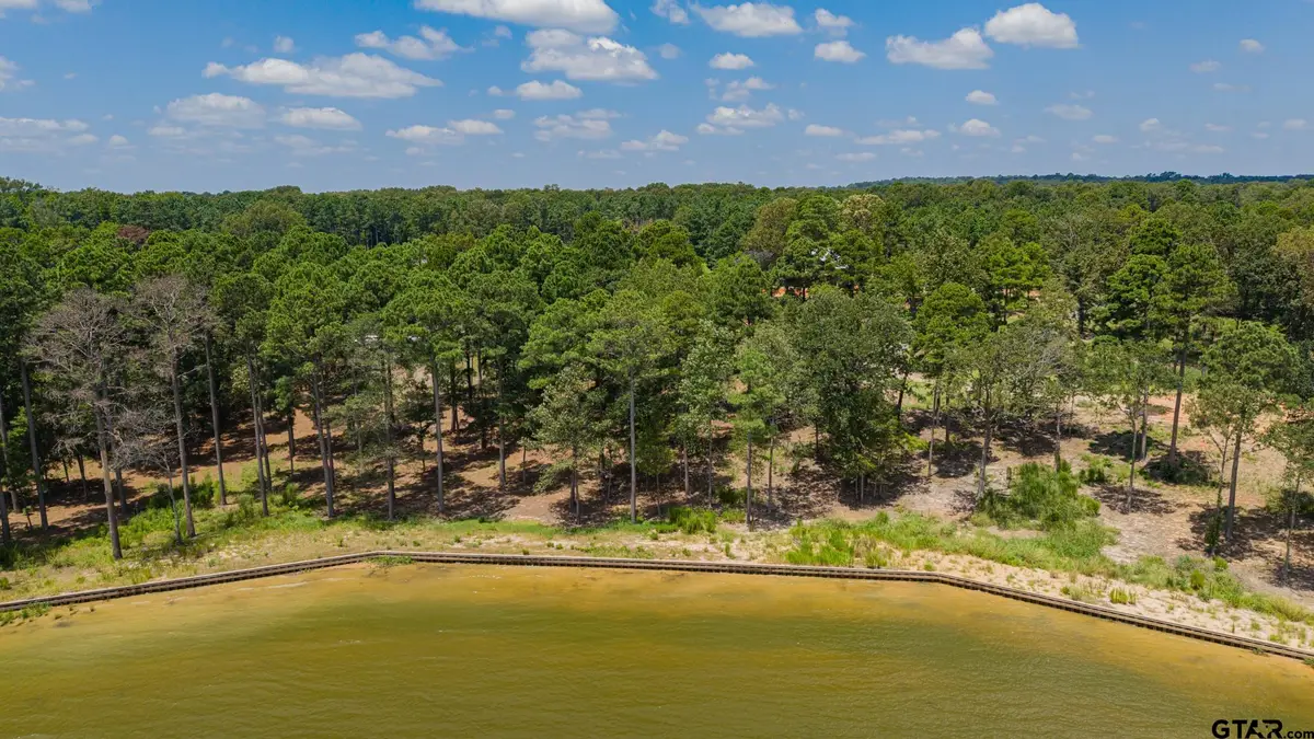 0000 Ezell Way, Scroggins, TX 75480 - #1