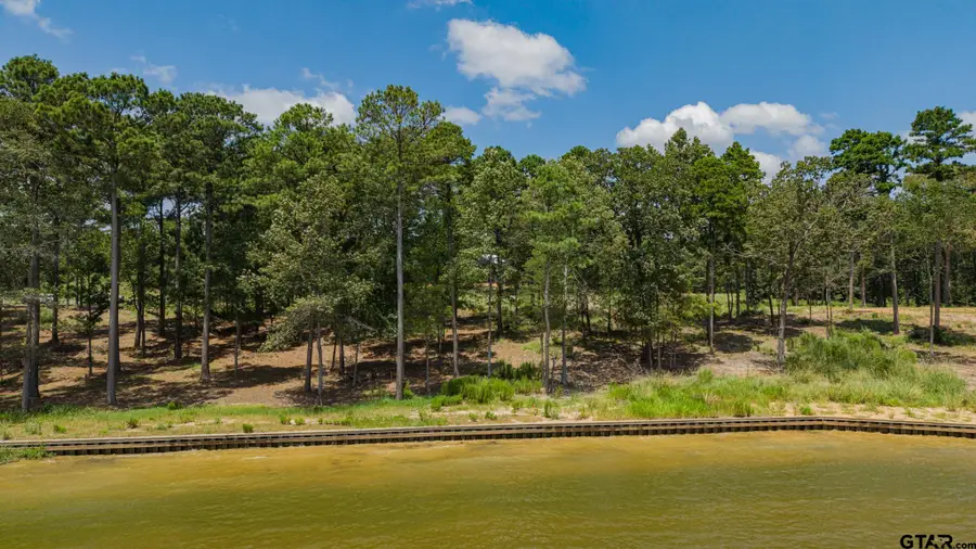 0000 Ezell Way, Scroggins, TX 75480 - #3