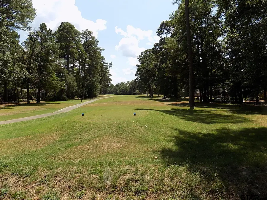 Bent Horseshoe, Holly Lake Ranch, TX 75765 - #3