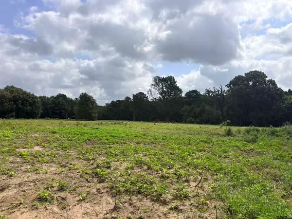10268 N Fm 607, Brownsboro, TX 75756