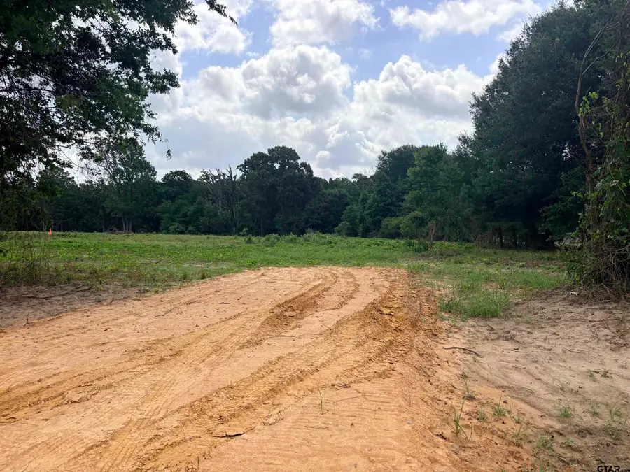 10268 N Fm 607, Brownsboro, TX 75756 - #2