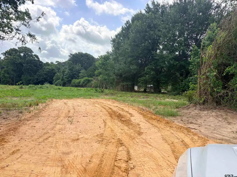 10268 N Fm 607, Brownsboro, TX 75756 - #3