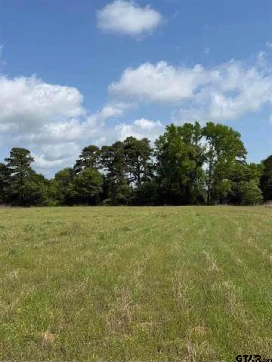 TBD Cr 3147, Tyler, TX 75706 - #2