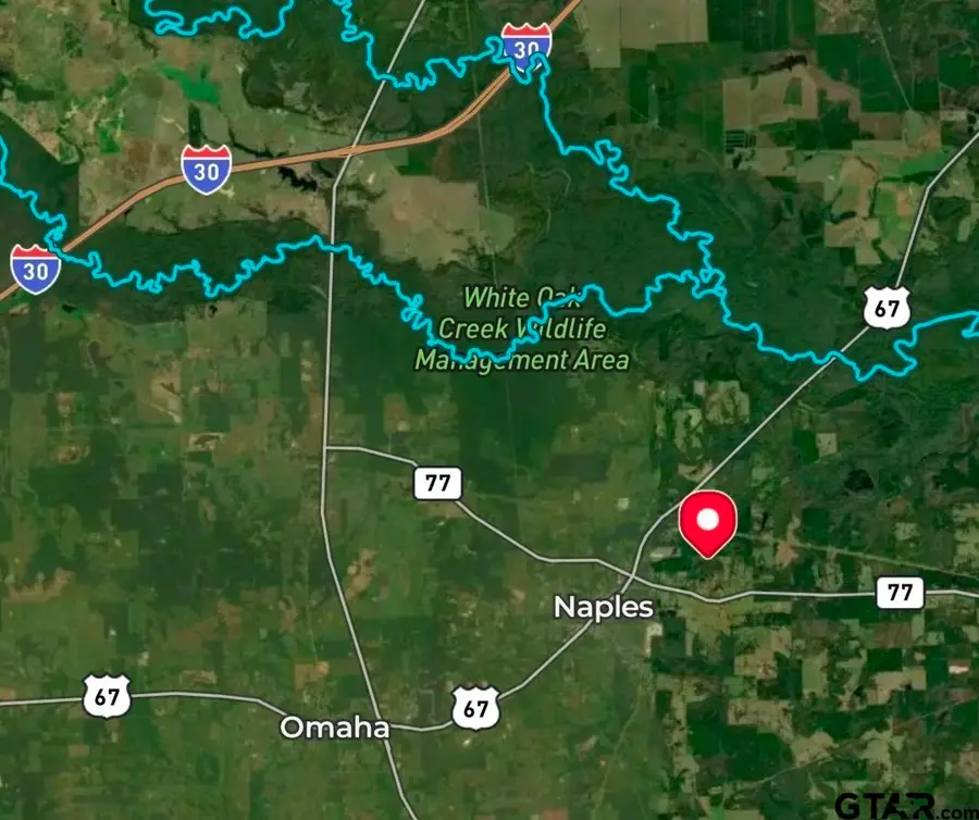 660 Cr 4310, Naples, TX 75568 - #3