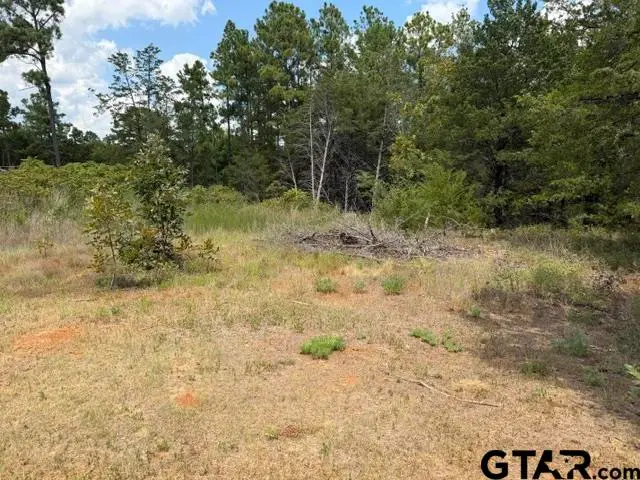15458 Prayer Mountain Ct., Lindale, TX 75771 - #3
