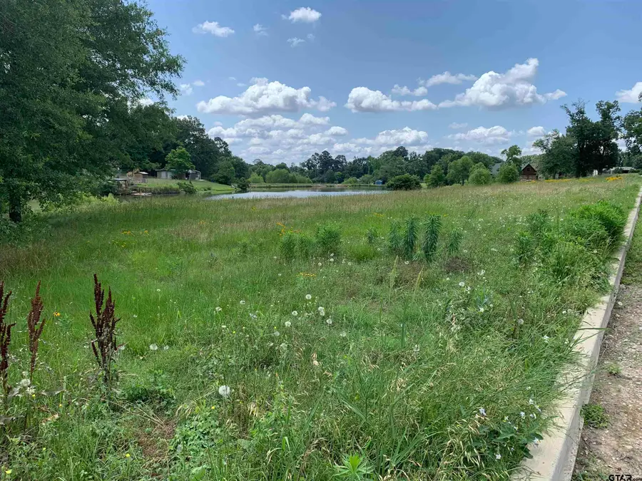 TBD Williams Lake Rd Lot 6, Tyler, TX 75704 - #2