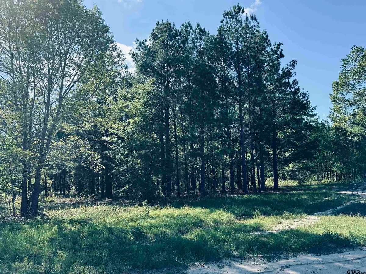 2609 N Fm 346, Bullard, TX 75757 - #1