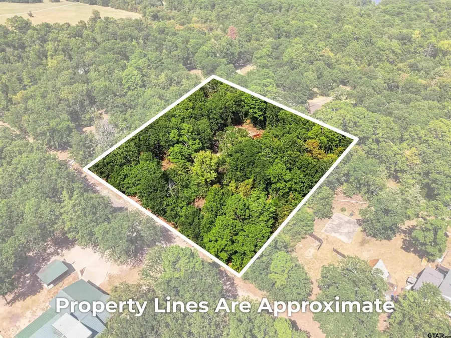 Lot 47 Cr 4298, Scroggins, TX 75480 - #2