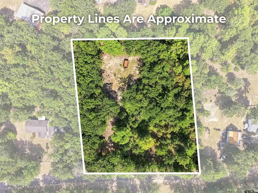 Lot 47 Cr 4298, Scroggins, TX 75480 - #3