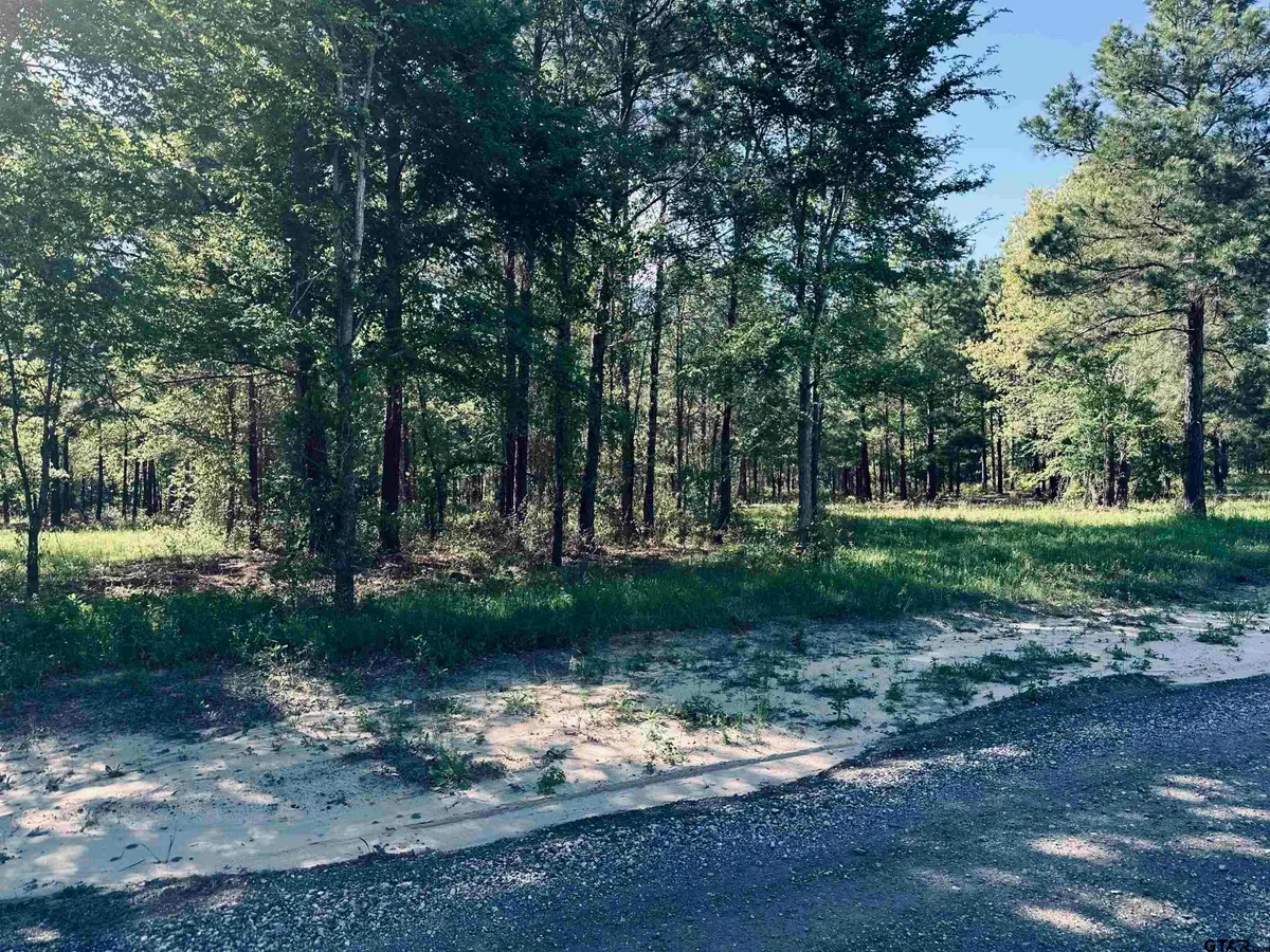 2605 N Fm 346, Bullard, TX 75757 - #1