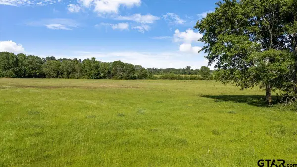335 County Road 4802 & Hwy 110, Troup, TX 75789