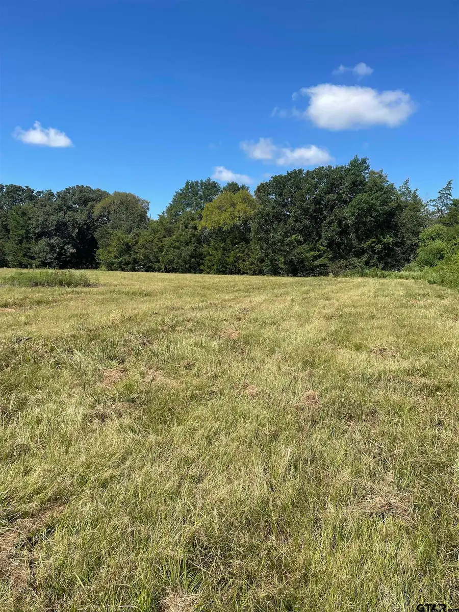 0000 Fm 175, Bullard, TX 75757 - #2