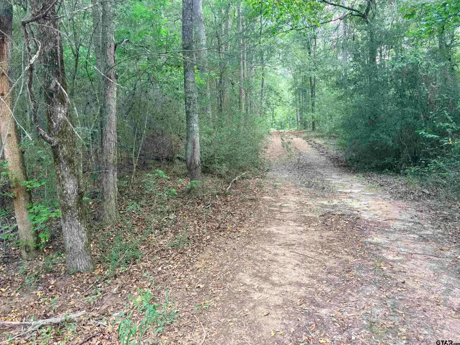 tbd County Road 2125, Rusk, TX 75785 - #2
