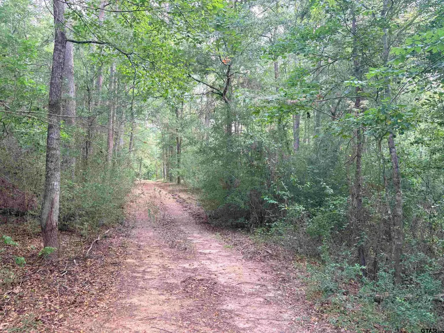 tbd County Road 2125, Rusk, TX 75785 - #3