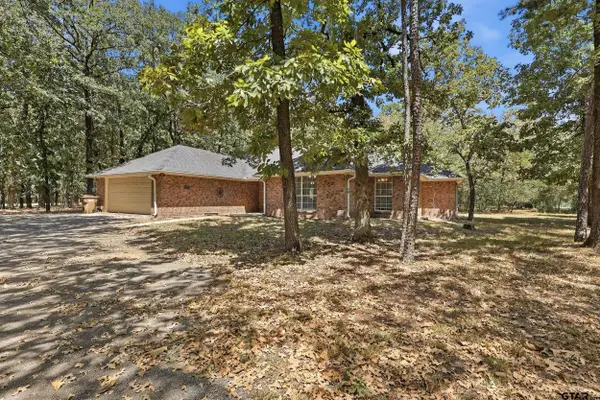 1343 Valleywood Trail, Holly Lake Ranch, TX 75765