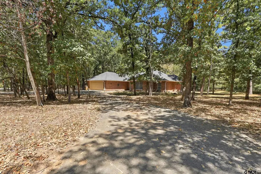 1343 Valleywood Trail, Holly Lake Ranch, TX 75765 - #3