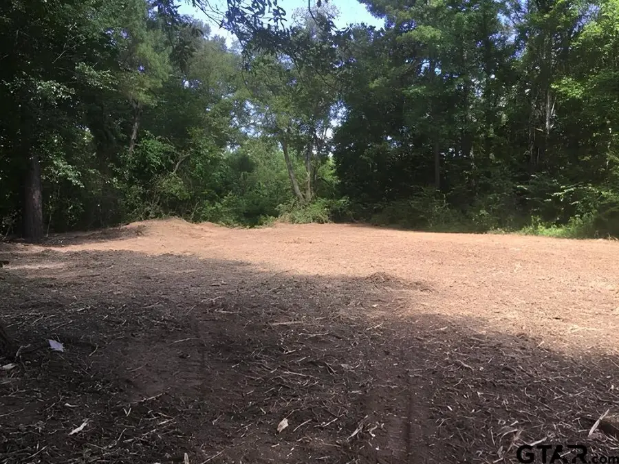 14871 Highway 110, Whitehouse, TX 75791 - #2