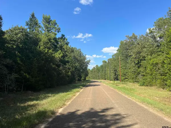 1803 Cr 4606, Troup, TX 75789