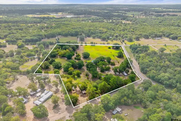 200 County Road 4253, Palestine, TX 75801
