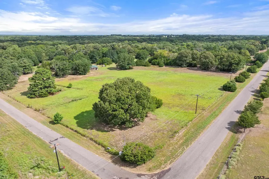 200 County Road 4253, Palestine, TX 75801 - #2