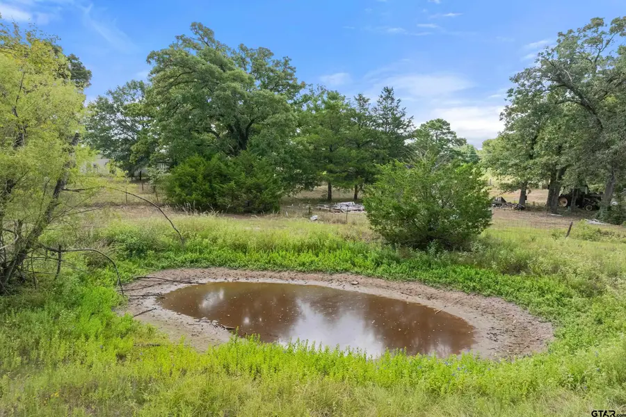 200 County Road 4253, Palestine, TX 75801 - #3