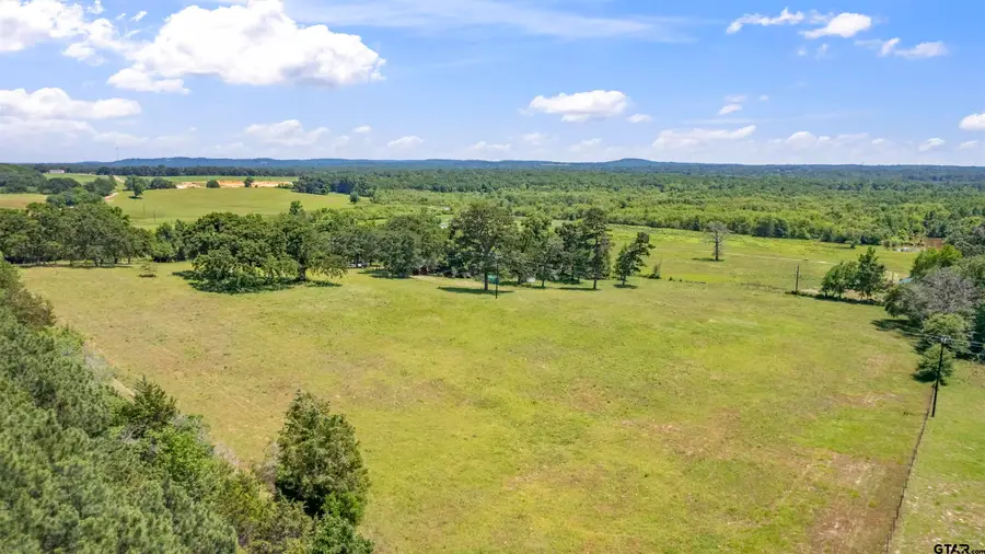 12250 Cr 3513, Brownsboro, TX 75756 - #2