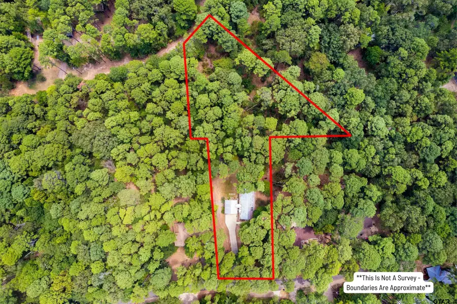 670 Cypress Creek Drive, Mount Vernon, TX 75457 - #3