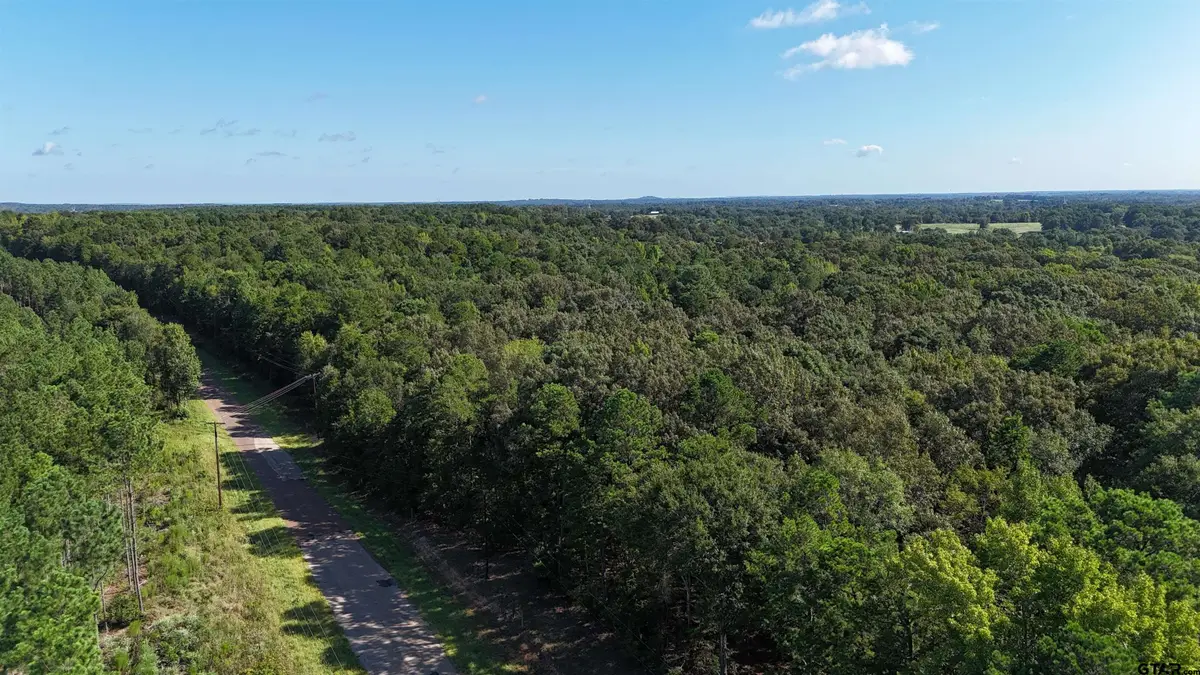 22667 County Road 26, Tyler, TX 75705 - #1