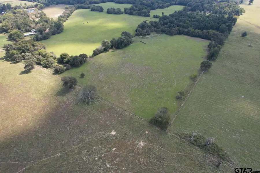 TBD Cr 435, Frankston, TX 75763 - #2