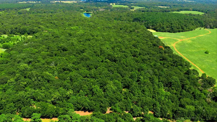 TBD Cr 3613, Murchison, TX 75778 - #2