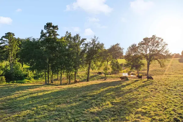 21618 Mixon Rd., Troup, TX 75789