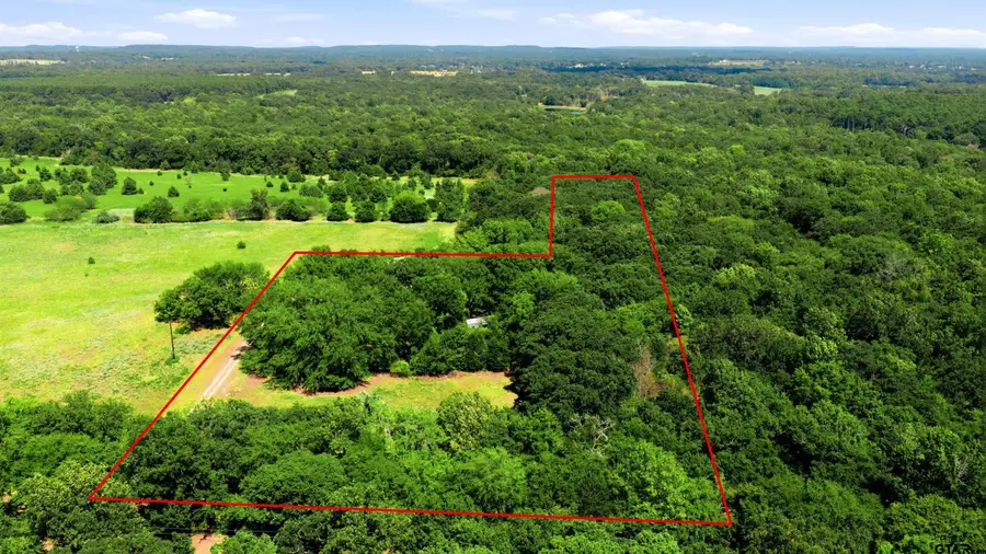 8418 Cr 3613, Murchison, TX 75778 - #2