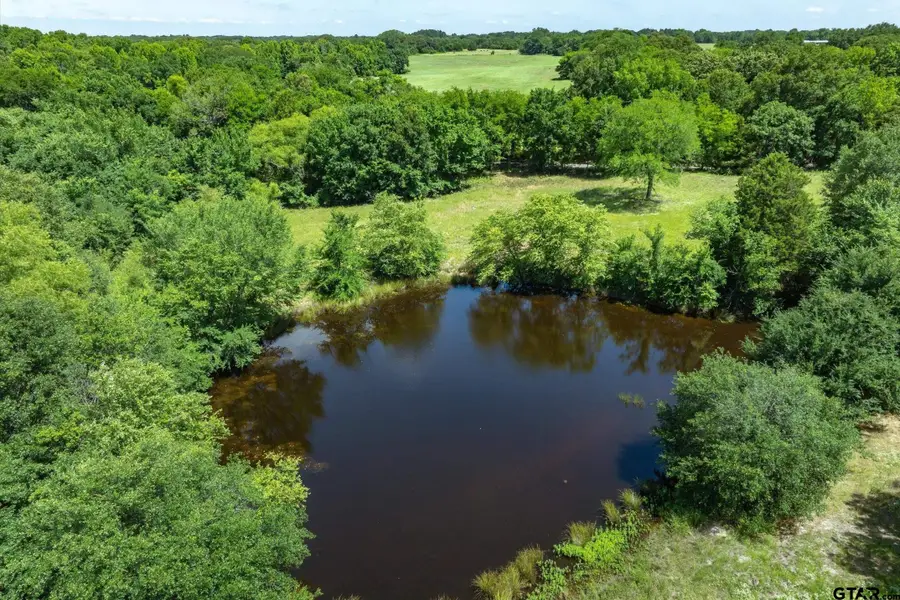 Lot 7 Rs Cr 1150, Emory, TX 75440 - #3