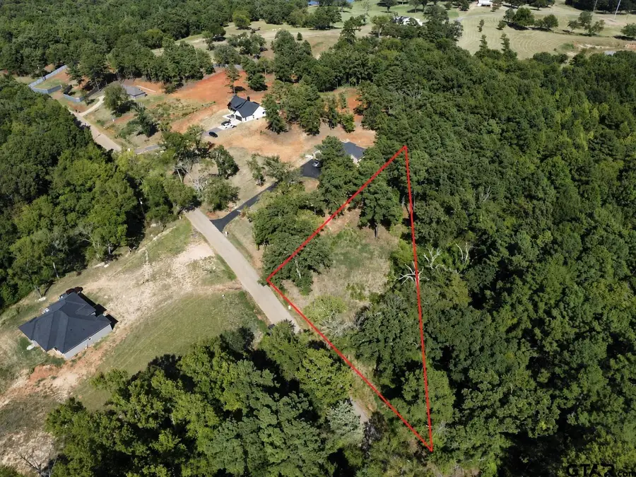 10499 County Road 1111, Tyler, TX 75704 - #2