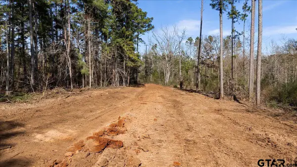 TBD Highway 135, Troup, TX 75789