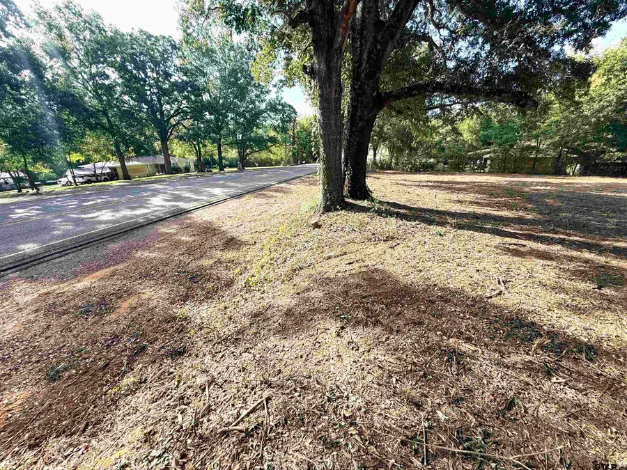 TBD N Jarvis, Troup, TX 75789 - #3