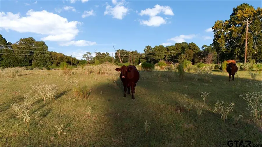 0 Fm 314, Brownsboro, TX 75756 - #2