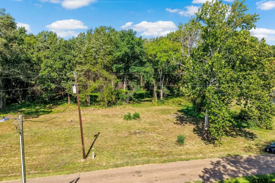 Lot 39 County Road 4231, Mount Pleasant, TX 75455 - #2