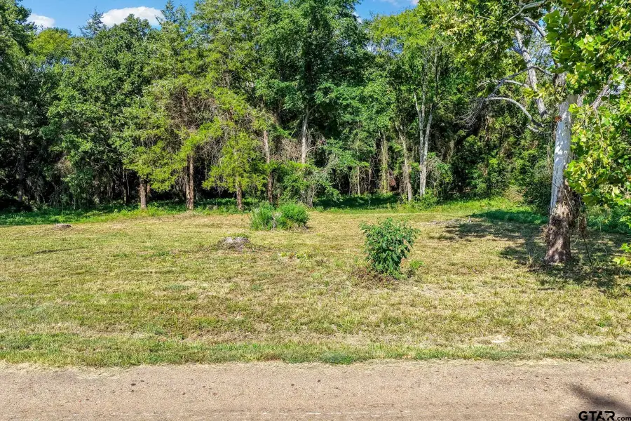 Lot 40 County Road 4231, Mount Pleasant, TX 75455 - #2